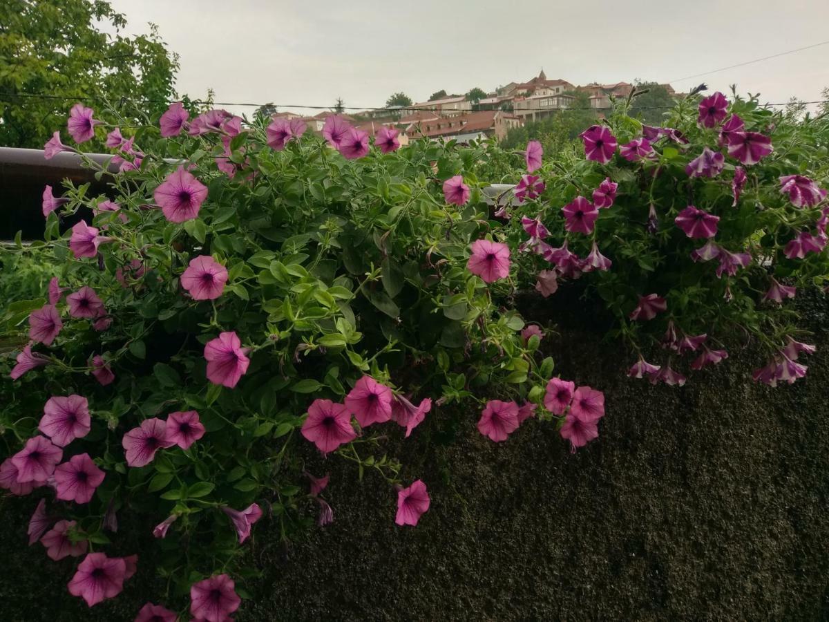 Guest House Vista Sighnaghi Exterior foto