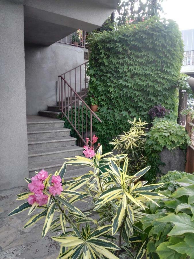 Guest House Vista Sighnaghi Exterior foto